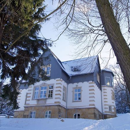 Villa-Unger Altenberg  Esterno foto