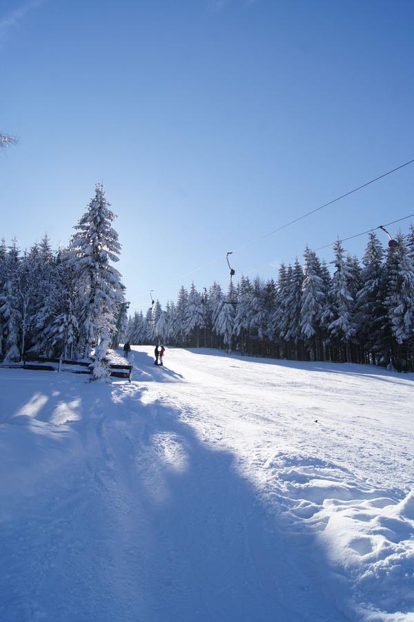 Villa-Unger Altenberg  Esterno foto