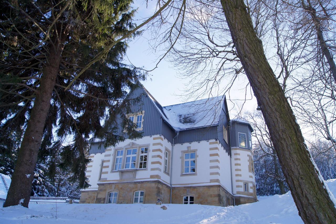 Villa-Unger Altenberg  Esterno foto